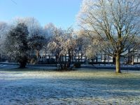 frosty2010b