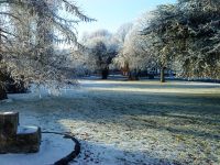 frosty2010c