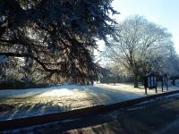 frosty2010d