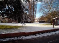winterscene3