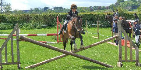 Horse