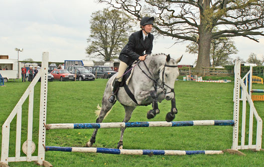 Horse2