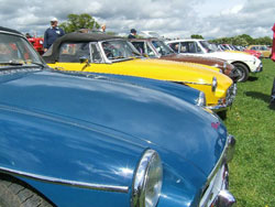 cars