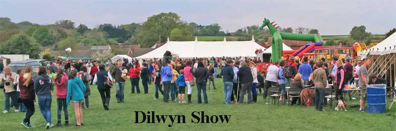 showview